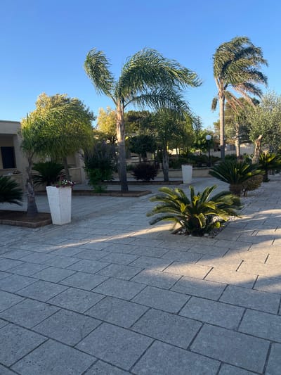 The image depicts an outdoor paved area in the city of Otranto, Italy. The paving stones are large and light gray, laid in a rectangular pattern. Sunlight casts shadows across the patio, indicating it is either morning or late afternoon. Several palm trees and other greenery are visible, including a large white planter with flowers. In the background, a low-rise building with a light-colored facade is present. The sky is clear and blue. There are no people or animals in the image.