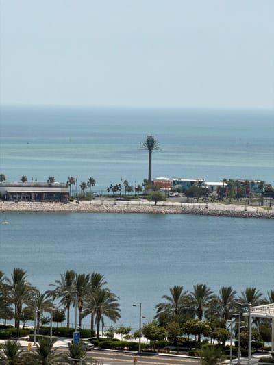 The aerial view captures a waterfront scene in an unspecified urban location, featuring a body of water that meets a landscaped embankment. The embankment is lined with palm trees and other greenery, leading to a modern building with a white facade. Beyond the building, more palm trees and streetlights are visible, with a road running parallel to the waterfront. In the distance, a tall, stylized structure resembling a palm tree rises above other buildings. The water is calm, with a few small boats dotted across its surface. The sky is clear and pale blue, suggesting a sunny day.