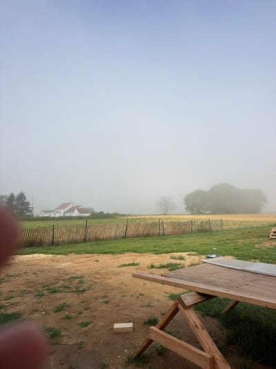 The image depicts an outdoor scene with a thick fog obscuring the background. In the foreground, a rustic wooden table is set up, constructed from unfinished planks of wood supported by A-frame legs. The table surface has a textured grey material, possibly a tarp or roofing felt, attached to it. To the right of the table, a few small green plants are growing in sandy soil.
Beyond the table and to the left, a wire fence with regularly spaced wooden posts is visible, running horizontally across the image. The fence is partially covered by the fog, but beyond it, a field of green grass stretches into the distance. In the mid-ground, a few white buildings with red roofs are discernible through the fog, suggesting a rural or suburban setting. Further back, large trees can be seen, their forms softened by the atmospheric conditions. The sky is a pale, uniform grey, indicative of a foggy or overcast day. The overall mood is serene and somewhat mysterious due to the dense fog. The image appears to be taken during daylight hours, though the fog prevents precise determination of the time of day. There is no visible text in the image.