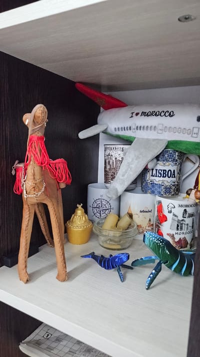 The image shows a shelf cluttered with various souvenirs and personal items. The shelf appears to be part of a larger piece of furniture, likely a cabinet or bookcase, as evidenced by the visible wood panels.

Objects present include:

*   A plush toy airplane with the words "I ❤️ morocco" printed on it.
*   Mugs with prints related to different cities: "LISBOA," "MOROCCO," and "Istanbul."
*   A small glass jar with candles inside.
*   A gold-colored ornamental object with an ornate top.
*   A decorative camel figurine with red cords and chains.
*   Two toy whales, one green and blue, the other primarily blue.
*   A notebook with lined pages is partially visible.

There is nothing to indicate that the location is Yerzovka, Russia.