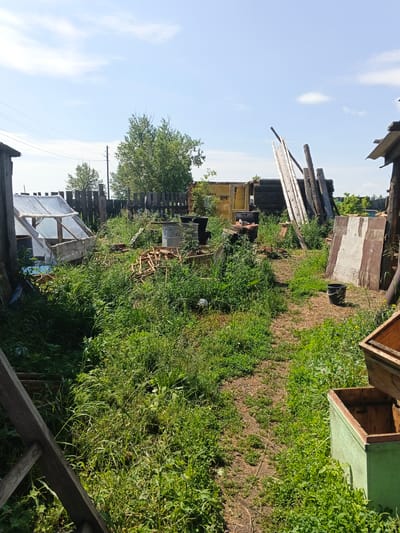 The image depicts an outdoor scene in a rural or semi-rural setting, possibly a backyard or storage area. The environment is overgrown with tall green grass and weeds, suggesting a lack of recent maintenance. Various objects are scattered around, including wooden planks, a greenhouse covered with plastic sheeting, a metal barrel, and what appears to be beekeeping equipment, specifically a green hive box with an open wooden top. A wooden fence runs through the middle ground. The sky above is blue with scattered white clouds, indicating daylight. There are no people visible in the image. The location is specified as Kamenno-Angarsk, Russia, which suggests a geographical context characterized by likely wooden structures and natural vegetation. The overall impression is one of a somewhat unkempt and utilitarian outdoor space.