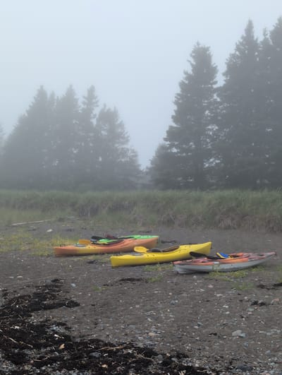 In a foggy environment on the coast of Campobello Parish, Canada, several kayaks are lined up on a pebbly beach. The kayaks are various colors, including orange, yellow, green, and a red and grey combination. They are positioned in a row, with some partially overlapping. Behind the kayaks, a line of tall, dark green coniferous trees is visible, shrouded in thick fog. The ground is covered in dark sand and small stones, with some dried seaweed and driftwood scattered in the foreground. The overall scene conveys a sense of calm and quietude due to the fog and the stillness of the kayaks.