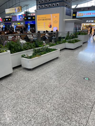 This image depicts an indoor scene, likely a public transportation hub such as a train station or airport in Longhua District, China. The foreground is dominated by white planters filled with artificial greenery. In the mid-ground, people are seated on benches, many looking at their phones. The background features various digital billboards displaying advertisements and train information. One prominent billboard, in Chinese, advertises "88VIP Hotel" and prices like "99元." Another sign indicates "4B." The floor is a speckled grey tile. The overall atmosphere suggests a busy, modern public space.
