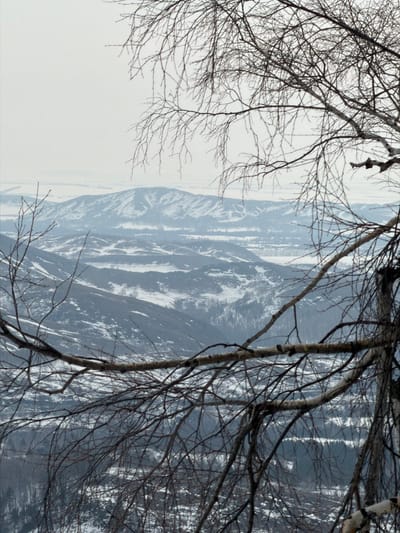 The image presents a panoramic view of a snow-covered mountainous landscape in Novoabzakovo, Russia, under an overcast sky. In the immediate foreground, the bare, dark brown and white branches of a deciduous tree, likely a birch, extend from the right side, framing the scene. The branches are devoid of leaves, indicating a winter season.

The midground features undulating hills and valleys partially covered with snow, revealing areas of darker, exposed terrain and clusters of evergreen trees. A settlement, consistent with the location of Novoabzakovo, is discernible in the valley, characterized by faint structural outlines and horizontal lines suggesting roads, all muted by distance and atmospheric haze.

In the background, a series of snow-capped mountains rise, their contours softened by atmospheric perspective, against a uniformly light grey, overcast sky that extends to the horizon. No individuals, animals, or explicit actions are depicted. The scene is static, captured in diffused, natural light characteristic of a cloudy winter day.