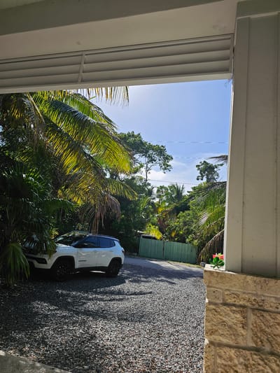 A white Jeep Compass SUV is parked on a gravel driveway next to lush green foliage and palm trees under a bright blue sky. The vehicle is facing left, with its front tires slightly turned. In the background, a light green wooden fence runs along the property line, and more trees and vegetation are visible. The foreground shows a textured stone pillar and a small artificial plant with pink and green leaves. The scene appears to be outdoors, possibly in a tropical or subtropical location given the vegetation.