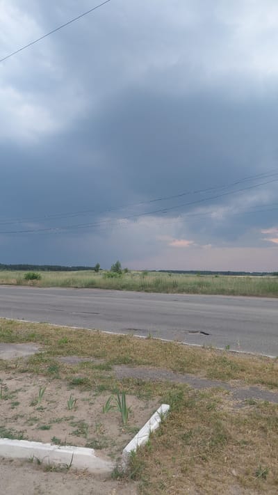 The image depicts a rural roadside scene in Borodianka, Ukraine. The primary subjects are a paved road, a grassy verge, and a cloudy sky. The road, which appears to be two lanes, runs diagonally across the frame from the bottom left to the top right, showing some cracks and wear. To the right of the road, a dry, grassy verge slopes down to a sandy area where several white, concrete markers are partially visible, some embedded in the ground. Beyond the verge, a strip of green vegetation, likely a field or meadows, stretches into the distance, bordered by a dark line of trees on the horizon. Above the landscape, the sky is filled with a mix of dark gray storm clouds and lighter, pinkish clouds towards the horizon, suggesting either the approach or departure of rain, or possibly sunrise or sunset. Several thin, black power lines are strung across the sky from the left side of the frame, intersecting the landscape and sky. The overall impression is one of a quiet, overcast day in a semi-natural, undeveloped area. No people, animals, or vehicles are visible. The time of day is difficult to pinpoint precisely due to the cloud cover, but the muted light and colors suggest it is not midday. There is no visible text in the image.