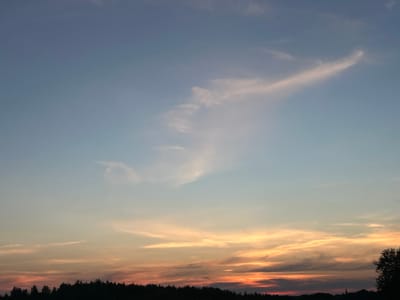 This is a wide-angle, landscape photograph of a sunset over a forested horizon in the city of Vyshevychi, Ukraine. The sky is a gradient of colors, starting with a pale blue at the top and transitioning to hues of orange and pink near the horizon. Wispy, elongated clouds are scattered across the sky, catching the sunset's light. The lower portion of the image is dominated by a dark, silhouetted line of trees and vegetation that forms the horizon. The overall mood is serene and peaceful.