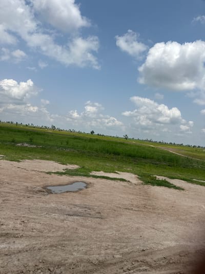 The image depicts an outdoor scene in Garin Dogo, Nigeria, under a bright sky with scattered white clouds. The foreground consists of a dirt path with tire tracks and a small puddle of water. Beyond the path, a sloping green field stretches into the distance, dotted with sparse trees. The landscape appears undeveloped and natural. There are no people visible in the image.