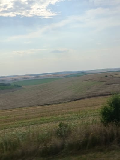 An aerial view captures a vast agricultural landscape under a cloudy sky. The fields are divided into sections of varying colors, indicating different crops or stages of growth. Some fields are a rich green, while others appear golden or brown, suggesting harvested crops or dry vegetation. Rolling hills create a sense of depth, and a thin line of trees marks the horizon in the distance. The foreground shows more detailed textures of the land, with hints of wild grasses and flowers. The overall impression is one of rural tranquility and agricultural bounty in Bugeac, Moldova.