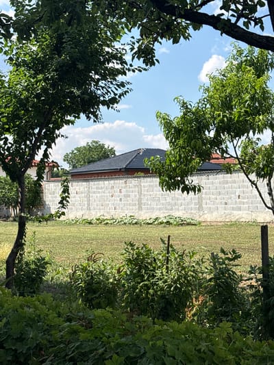 In Dragor, Bulgaria, a property is bordered by a long, white, cinder block wall, approximately eight feet high. The wall has visible brick infill in some sections and is topped with red roofing tiles. Behind the wall, a dark, pitched roof of a building is visible, along with a section of a lighter-colored building with a red roof. The foreground features a well-maintained lawn, a patch of large-leafed plants, and dense, green bushes, some of which have brown seed heads or seed pods. Two wooden posts, one appearing aged and weathered, stand in the grassy area. The scene is framed by the lush green foliage and branches of two large trees, with a blue sky and scattered white clouds visible above.