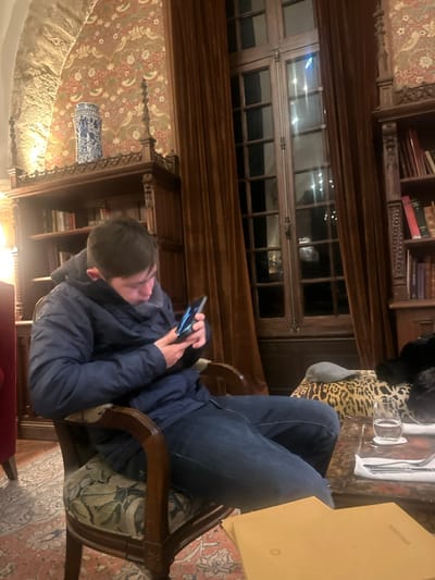A man sits in an ornate chair, engrossed in his phone. He wears jeans and a blue jacket. The setting appears to be an old-fashioned establishment, perhaps a library or hotel, with dark wood, window panes, and rich textiles. A table nearby holds glasses, silverware, and a menu. The room has patterned wallpaper and decorative elements such as books and a blue and white vase.
