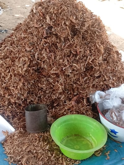The image displays a market stall scene in Wamba, Nigeria. The central feature is a large, conical mound of dried, light brown small shrimps or crayfish, occupying most of the frame. This mound rests on a blue tarp or fabric spread over an unpaved, dusty ground surface. At the base of the shrimp mound, towards the left, a dark, cylindrical metal cup, indicative of a measuring scoop, is positioned. Adjacent to it on the right, an empty, bright green plastic bowl is present. Further to the right, a white enamel bowl with blue star patterns is partially visible, containing multiple transparent plastic bags filled with pre-packaged dried shrimps. A crumpled white plastic bag is partially visible on the far left. No individuals are depicted; the arrangement of goods suggests commercial vending at an open-air market.