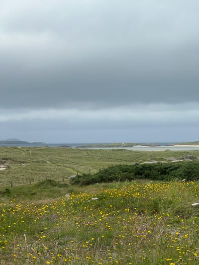 The image depicts a coastal landscape in Bunbeg, Ireland, characterized by rolling green hills covered in grass and dotted with yellow wildflowers in the foreground. A thick band of dark, overcast sky dominates the upper portion of the frame. In the middle ground, a body of water, likely the Atlantic Ocean, is visible, with islands and a sandy beach in the distance. The overall impression is one of a wild, natural environment under a dramatic sky. There are no people or animals visible in the scene. The terrain appears rugged and untamed, with paths winding through the grassy hills. The vegetation consists primarily of coarse grasses and low-lying bushes, with a profusion of small yellow flowers in the immediate foreground. The distant islands are low-lying and covered in vegetation.