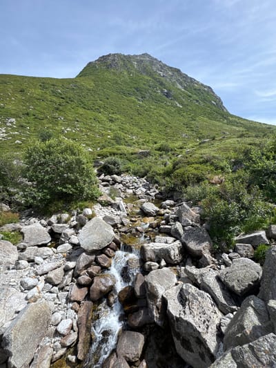 The image shows a natural landscape scene in the vicinity of Hospental, Switzerland. The foreground is dominated by a rocky stream bed with clear water flowing over various sized stones and boulders. Lush green vegetation, including bushes and small trees, grows on the banks of the stream and further up the hillside. In the background, a large, green, grassy mountain rises steeply, its peak partially obscured by the sky. The sky is a pale blue with scattered, wispy white clouds. The overall impression is one of a remote and undeveloped natural environment.