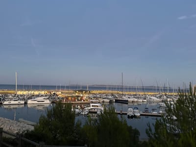 The image depicts a harbor filled with numerous boats of various sizes, from small speedboats to large yachts, docked in calm water. The scene is set against a backdrop of a clear blue sky with faint wispy clouds. In the background, there are buildings lining the waterfront, some appearing to be restaurants or shops, with their lights illuminated, suggesting it is either dusk or dawn. The harbor is surrounded by what appears to be a breakwater or a constructed edge, with some greenery in the foreground. The overall atmosphere is peaceful and serene. The location is identified as the port of Bormes-les-Mimosas, France. There are no discernible people actively engaged in any specific actions within the frame.