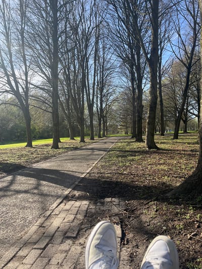 The image shows a path flanked by rows of bare trees in Maastricht, Netherlands. The path is made of asphalt and bordered by brick edging. The trees are uniform in size and shape, with their branches intertwining to create a canopy overhead. The sky is visible through the branches. The ground is covered with sparse grass and dead leaves. Two white sneakers belonging to the photographer are visible in the foreground. The light suggests it is daytime.