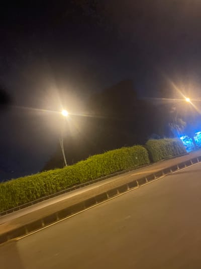 The image depicts a nighttime scene along a road with a landscaped median in Entalsewu, Indonesia. A tall street light illuminates the left side of the frame, casting a bright glow and creating lens flare. The median is densely planted with green shrubs, forming a continuous hedge. Beyond the median, the road surface is visible, appearing wet or reflective under the artificial light. In the background, the sky is dark, with the silhouette of trees or buildings faintly discernible. Further to the right, another street light or building lights cast a blueish hue. No people or vehicles are clearly visible in the frame.