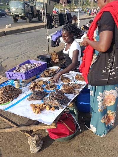 The image depicts a roadside market stall situated along an asphalt road in Kiuu ward, Kenya, during daylight hours. In the foreground, a female vendor with braided hair, wearing a white t-shirt and a black apron, is seated behind a table. She is holding a piece of dried fish with her right hand and appears to be arranging items on the table. The table is covered with a white and blue patterned cloth, displaying various food items for sale, including multiple dried fish, a pile of small dried crustaceans or insects, and several pieces of fried dough or cassava. A purple plastic crate to her left contains fresh fish and squid. A black pan is visible on the table near the vendor's left hand.
Standing to the right of the vendor, partially obscured, is another individual, likely a female customer, wearing a black top, a long teal skirt with a floral pattern, and a red shawl draped over her shoulders. She carries a black canvas bag with white text.
Underneath the market stall, a red fabric bag, a green basin, and a blue plastic container are visible. A large grey rock supports the wooden frame of the stall. In the background, an asphalt road features vehicle traffic, including a prominent green military-style truck. Other vehicles and several pedestrians are visible further down the road. Above the vendor's head, dark fabric provides shade, and various articles of clothing are hanging from the stall's support structure. A child's face is partially visible behind the stall in the mid-ground.