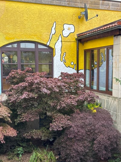 The image depicts a building facade with a vibrant yellow, textured wall adorned with a white, abstract design outlined in black. To the left, a large arched window with dark brown frames reveals the interior of a room. To the right, a smaller set of windows with similar frames is visible. A satellite dish is mounted on the upper section of the yellow wall. The building's roof features red tiles. In front of the building, several Japanese maple trees with deep red foliage create a lush foreground. The environment appears to be an outdoor setting, possibly a garden or public space. The image was taken in Leverkusen, Germany.