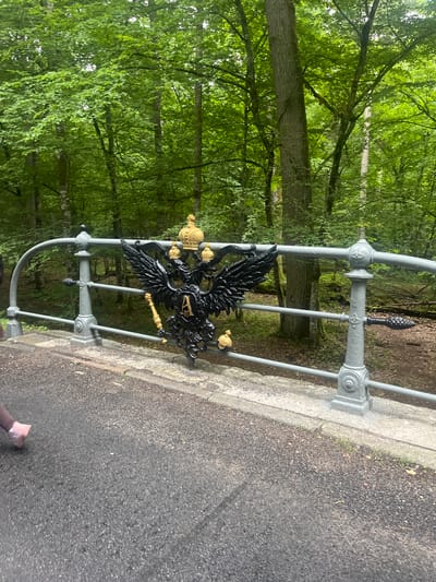The image shows a close-up view of a bridge railing in a forest setting. The railing is painted grey and features an ornate black double-headed eagle emblem with gold accents, including crowns and a scepter. The eagle is positioned centrally on the railing. The bridge surface is visible in the foreground, appearing to be asphalt, and a portion of a person's leg wearing pink footwear is visible on the left side of the image. The background consists of a dense forest with lush green trees and foliage. The location is identified as Sharashowski Sel'ski Savet, Belarus.