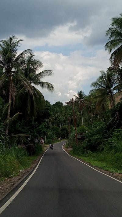 An eye-level, vertical shot captures a winding asphalt road cutting through a lush, tropical landscape. The road is dark gray with a white line marking its center and edge. On the left side of the road, tall green grass and foliage border the asphalt. On the right, dense green vegetation and trees, including prominent palm trees, line the road, with a few utility poles also visible. In the distance, the road curves to the left and ascends a gentle slope, disappearing into a densely forested area filled with numerous palm trees. Two motorcycles are visible on the road, one in the foreground on the left, and another further up the road on the left, both facing away from the viewer. The sky above is a mix of dark gray and white clouds, suggesting an overcast or stormy day. The scene is consistent with a rural road in the vicinity of Luengbaro, Indonesia, characterized by its tropical vegetation and humid climate.