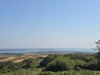 An elevated, wide-angle, panoramic landscape view captures a sunny day with a clear, light blue sky dominating the upper portion. The foreground is filled with dense, dark green, heathland vegetation, including bushes and ferns. Beyond the immediate vegetation, the middle ground reveals a rolling landscape of dry, golden-brown grasslands interspersed with patches of green. This area features subtle undulations and hints of man-made structures, possibly part of a golf course with visible sand traps and manicured greens.
Further in the distance, a wide expanse of calm, light blue water stretches horizontally across the frame, suggesting a large bay or estuary. Along the far edge of the water, a distant coastline is visible, characterized by a pale, hazy line of buildings and infrastructure. Scattered white specks on the water indicate the presence of boats. The overall atmosphere is serene and natural, with the landscape appearing largely undeveloped except for the distant coastal town and the visible golf course elements. The scene is static, with no visible people or animals. The location appears to be a scenic viewpoint overlooking a coastal area near Corfe Castle, United Kingdom, given the terrain and the body of water.