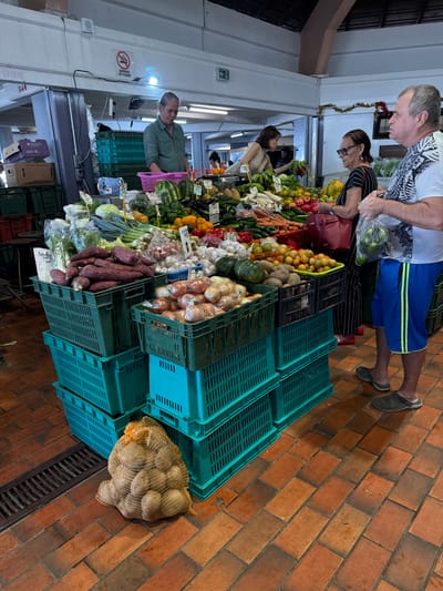 This image depicts an indoor fresh produce market stall at the Noumea Market in Noumea, France. The central focus is a long display table overflowing with a variety of fruits and vegetables, supported by stacks of green and blue plastic crates.
Prominent produce items include large piles of sweet potatoes, leeks, green bell peppers, red bell peppers, watermelons, cucumbers, carrots, garlic bulbs, small pumpkins, and citrus fruits. Many items have small white price tags. A large, netted bag of potatoes rests on the tiled floor in the lower-left foreground.
Four individuals are present. A male vendor with long dark hair, wearing a green button-up shirt, stands behind the stall on the left. To the right, a female customer with dark hair and glasses, dressed in a black and white striped top and carrying a red handbag, is actively selecting produce. Adjacent to her, a male customer with short, light-colored hair, wearing a white patterned t-shirt and blue shorts, holds a clear plastic bag containing green items and observes the produce. Further back, another female customer is partially visible, reaching towards the stall.
The flooring consists of red and orange brick-patterned tiles, with a metal drainage grate visible on the left. The market structure features concrete overhead beams and ceiling. A "DÉFENSE DE FUMER" (NO SMOKING) sign is affixed to a white pillar in the background. A thin strand of red and green tinsel decorates a distant beam. The scene is brightly illuminated.