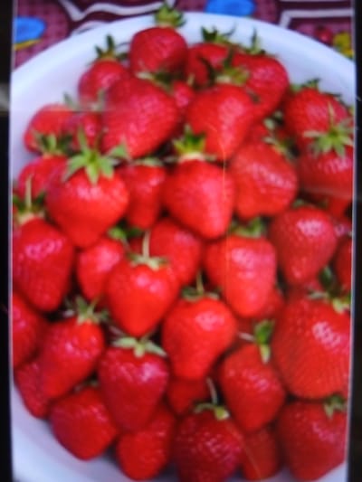 The image shows a close-up view of a white bowl filled with ripe strawberries. The strawberries are a vibrant red color and appear fresh. The bowl is placed on a surface that has a patterned cloth visible in the background, with shades of red and brown. The lighting in the image suggests an indoor or shaded outdoor setting. There are no people or specific landmarks visible that would indicate a location in Auk, Kyrgyzstan. The scene is entirely focused on the strawberries.