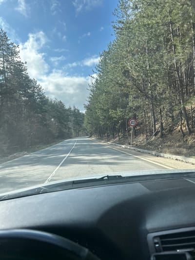 The image depicts a two-lane asphalt road, possibly near Sarantsi, Bulgaria, viewed from the interior of a vehicle. The vehicle's dark gray dashboard and a portion of the steering wheel are visible in the foreground. The road features a solid white central line and broken white lines marking the shoulders, extending into the distance with a gentle curve to the left. Dense coniferous forest lines both sides of the road, with tall evergreen trees dominating the scene. On the right side, approximately midway into the frame, a circular speed limit sign with a red border displays the number "40" in black. A low concrete barrier or curb runs along the right shoulder. The sky above is partly cloudy blue, and daylight casts shadows from the trees onto the road surface. No individuals or other vehicles are present.