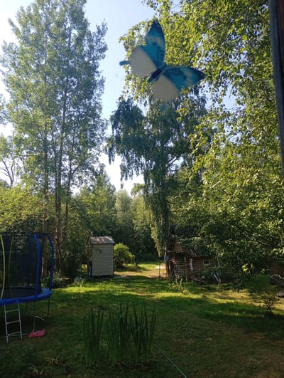 The image depicts a backyard scene in Alferovo, Russia, bathed in sunlight. Dominating the left side is a blue and black trampoline with a safety net. To the right of the trampoline, there is a small, light-colored shed with a sloped roof. In the center-right of the image, a rustic wooden cabin with a dark, corrugated roof is nestled amongst lush green trees. A chair and a few gardening tools are visible near the cabin. In the foreground, a patch of tall, green grass and reeds grows. In the upper portion of the image, a blurred blue and white butterfly decoration is suspended against a clear blue sky and green foliage, suggesting it may be attached to a windowpane or screen. The overall environment is that of a rural or semi-rural residential area during daylight hours.