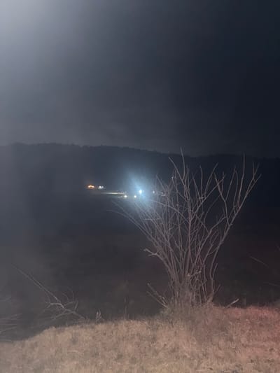 A dark, grainy image shows a night scene. A stark, leafless tree with many thin branches occupies the right half. To the left, a line of bright lights illuminates a dark hillside, possibly a road. The left third of the image is obscured by fog or darkness. The right edge is covered with dense, dry vegetation. The overall mood is somber and indistinct.