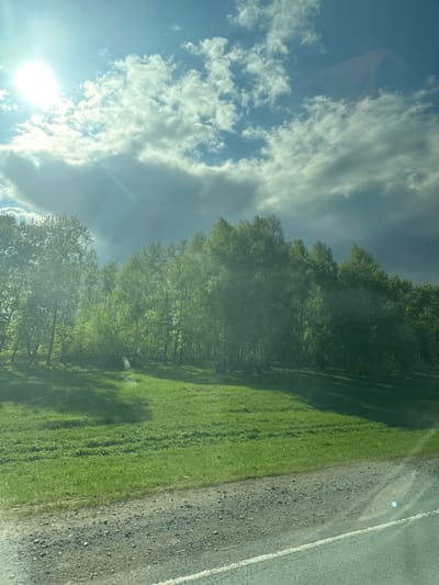 The image shows a roadside scene under a partly cloudy sky, likely taken from a moving vehicle. The sun is visible in the lower left corner. A row of trees lines the left side of the frame, bordering a grassy area. A road is visible to the right, with a white line marking the edge. The location is Bezmenovo, Russia.