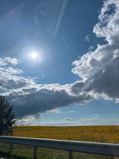 This is a photograph taken from inside a vehicle, looking out at a vast field of sunflowers stretching to the horizon under a partly cloudy sky. The sun is bright and high in the sky, casting lens flare across the image. The clouds are a mix of bright white cumulus and darker, more dramatic storm clouds.

The field of sunflowers is dense and covers a large area, appearing as a carpet of yellow. The foreground on the right side of the image features a metal guardrail, suggesting the photo was taken from a road. A few dark green trees are visible at the bottom of the frame, one prominently in the lower right.

The time of day appears to be mid-day or early afternoon, given the brightness of the sun and the shadows. The weather is dynamic, with both sunny conditions and the presence of large clouds. The location is identified as Volia, Ukraine, which aligns with the landscape of agricultural fields and open skies.

No people are visible in the image. The overall mood is one of natural beauty and the vastness of the Ukrainian countryside.