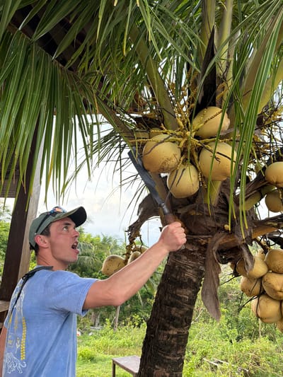 This image depicts a male individual attempting to harvest coconuts from a palm tree in Bunga Mekar, Indonesia. The man, positioned left of center and observed in profile facing right, wears a light blue t-shirt with a graphic design partially visible on the back, a dark green mesh baseball cap with sunglasses resting on its brim, and a dark shoulder strap. He holds a long, dark-bladed machete with a wooden handle in his raised right hand, aiming the blade towards a cluster of light yellow-green coconuts attached to the palm tree's trunk. His mouth is open, and his gaze is directed upwards towards the coconuts. The mature coconut palm tree features a sturdy, textured brown trunk and numerous long green fronds, bearing multiple bunches of pale yellow coconuts at various heights. The background consists of dense green tropical foliage beneath a bright, partly cloudy sky. A small wooden bench is partially visible at the lower right, and elements of a wooden roof structure are present on the left side of the frame.