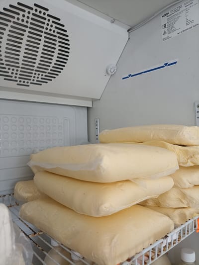 The image shows the interior of a refrigerator filled with large, rectangular blocks of light yellow material, likely butter or cheese, wrapped in plastic. The refrigerator has a white interior with a cooling vent at the top and circular indentations on the back wall. A metal shelf, appearing slightly rusted, holds several of the wrapped blocks. A white dial or control is visible on the left wall of the refrigerator. A label is affixed to the interior upper right wall of the refrigerator, containing Cyrillic text and technical specifications. The specific location in Buynaksk, Russia is not identifiable from the visual information present in the image.
