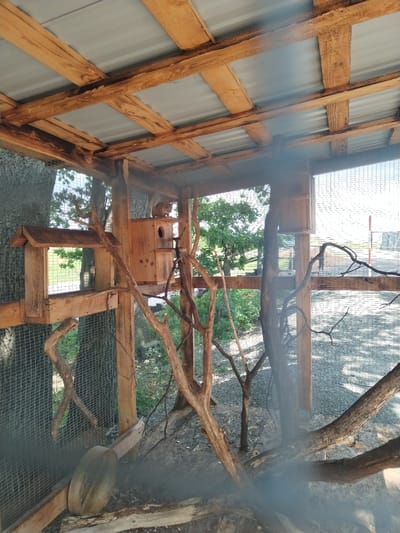 The image shows an outdoor enclosure constructed with wooden beams and corrugated metal roofing. The enclosure contains several wooden birdhouses and natural elements like tree trunks and branches. A small animal, possibly a squirrel, is visible perched on top of one of the birdhouses. The ground within the enclosure appears to be covered in dirt and gravel. In the background, trees and a fence are visible, suggesting a rural or semi-rural setting. The image is a photograph taken from a slightly elevated angle, with a slight haze or glare obscuring some details, particularly in the foreground. There is no information available in the image to indicate the location as Blokhino, Russia.