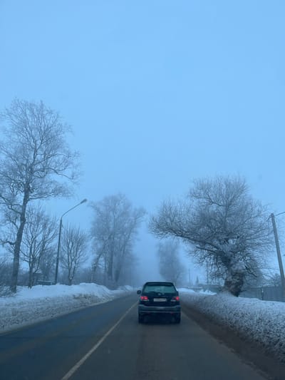 The scene depicts a foggy winter road in Yasenevo, Russia. A dark-colored SUV, bearing Russian license plate 'У393ВС99', travels away from the viewer on a wet, two-lane asphalt road. Substantial snowbanks line both shoulders of the road. Bare deciduous trees, heavily coated with hoarfrost or snow, flank the road, extending into the dense fog which significantly reduces visibility and obscures the horizon. A black streetlamp pole is visible on the left side. The sky is uniformly pale blue-gray, consistent with overcast, foggy conditions. No individuals are visible.