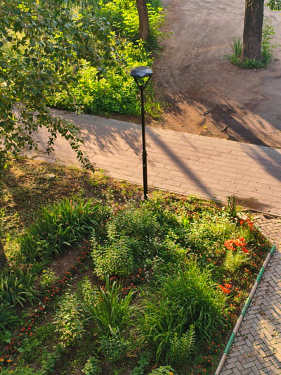 A view from above of a city park pathway bordered by a flower bed and trees. The pathway is paved with tan bricks and is partially shaded by the trees. A street lamp stands on the pathway. The flower bed contains a variety of green plants, with red and white flowers scattered throughout. The surrounding area is covered with grass and dirt, with a few trees visible. A bird is walking on the pathway. The scene appears to be in Rubtsovsk, Russia.