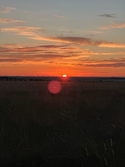 The image shows a sunset over a rural landscape. The sky is a vibrant orange and pink, with streaks of clouds. The sun is low on the horizon, casting a warm glow over the scene. In the foreground, a field of dry grass stretches towards the horizon. In the distance, a line of trees is visible, followed by a row of wind turbines. A red circular lens flare is present in the middle ground of the image. The scene appears to be located in or near Bereznyakovka, Kazakhstan, given the presence of wind turbines, which are common in the region. There are no people or animals visible in the image. The environment is dry and open, typical of the steppe landscape of Kazakhstan.