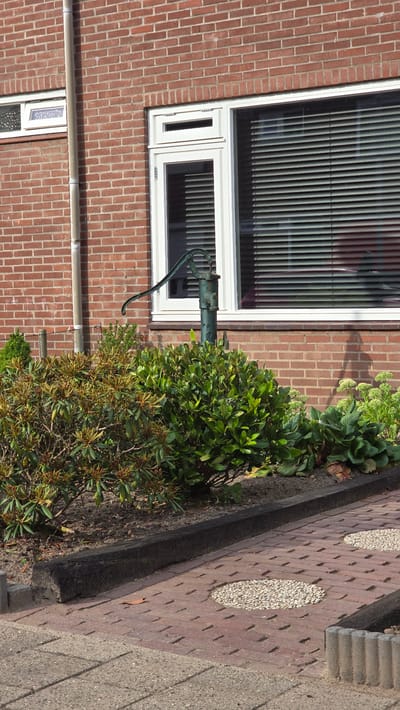 The image shows an exterior scene with a red brick building. A tall, light-colored downspout runs vertically along the left side of the brick wall. To the right of the downspout, a white-framed window with horizontal blinds is visible. In front of the window, a dark green, old-fashioned hand water pump stands on a dark border that separates a garden area from a paved walkway. The garden features dense green foliage and some plants with developing buds. The walkway is paved with red bricks and includes circular inlays filled with small white pebbles. In the lower right corner, a gray concrete border with a textured surface is partially visible. The scene appears to be in a residential area in Zeddam, Netherlands, given the architectural style and landscaping.
