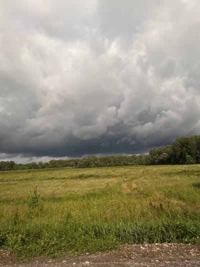 The image depicts a cloudy sky over a grassy field with a treeline in the distance. The sky is dominated by dark, heavy storm clouds, suggesting an approaching or ongoing weather event. The field is covered in tall, green grass, with some patches of lighter, drier vegetation and small white flowers. A dense treeline forms the horizon, consisting of various deciduous trees. In the far distance, a faint structure resembling a bridge or overpass can be seen. The foreground shows a rough, earthy surface with small stones and dirt. There are no people or animals visible in the image, and no specific landmarks are identifiable that would pinpoint the location within Berkuty, Russia.