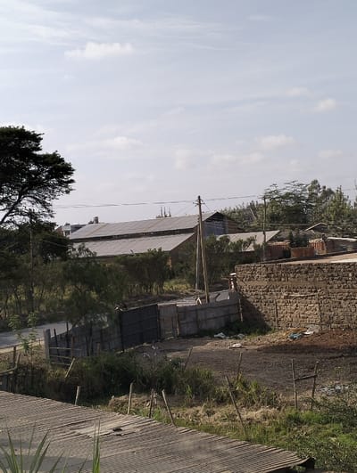 A rural scene shows buildings with corrugated metal roofs in the background, interspersed with trees and utility poles. A weathered stone wall sits beside a dirt path and a makeshift metal fence. Weeds and grasses grow in the foreground, partially obscuring a corrugated metal roof in the immediate foreground. The sky is pale with light clouds.