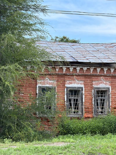 An exterior, medium shot captures a weathered, two-story brick building in Cherdakly, Russia, partially obscured by lush green foliage and branches. The building's red brick facade shows signs of age, with peeling white paint around the window frames and decorative brickwork along the roofline. Three tall, narrow windows are visible on the upper level, each fitted with white bars. The glass in the windows is either missing or obscured. The roof is made of metal panels that appear rusted and worn. Power lines stretch across the pale blue sky with scattered clouds. The foreground is dominated by a strip of green grass and a dirt path, with dense green bushes growing around the base of the building.