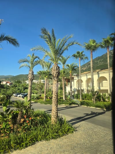 The image depicts a sunny day with a clear blue sky and lush greenery. In the foreground, several palm trees of varying heights stand tall, their fronds casting long shadows on a paved walkway and an asphalt road. To the right, a building with arched windows and balconies, painted in a light cream color, is visible, surrounded by dense green shrubs and plants. Beyond the building, a green, tree-covered hill rises under the bright sky. On the left side of the image, a parking lot is visible with several cars parked, and in the background, there are houses nestled amongst trees. The overall scene suggests a resort or a well-maintained residential area in a warm climate. It is not possible to determine the exact location within the Metropolitan Borough of Solihull, United Kingdom, based solely on this image.