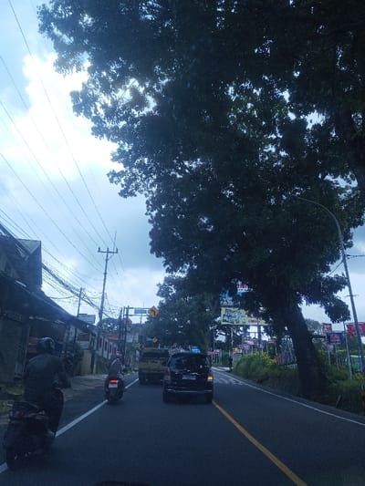 A street scene with a black car and two motorcycles on a road marked with a yellow line. Utility poles and wires line the left side, obscured by buildings. Large trees overhang the right side of the road, partially blocking the sky. A streetlamp is visible next to the trees. Signage and flags are seen further down the road on the right side, and a turning lane sign appears on the left. The sky is cloudy with patches of bright sunlight.