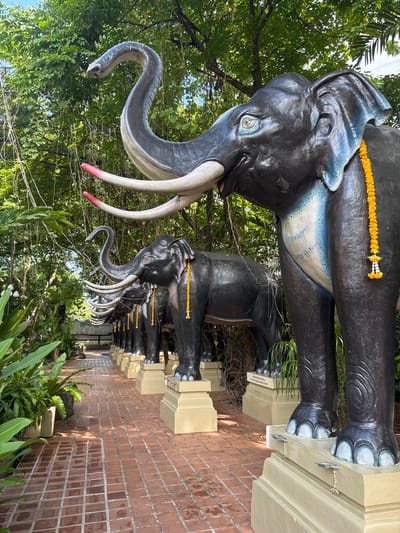 The image shows a row of black elephant statues with white tusks, each adorned with a yellow flower garland. The elephants stand on a low, light-colored wall or platform alongside a brick pathway. Lush green foliage surrounds the elephants, with trees visible in the background. The location appears to be outdoors. The presence of Thai script on a sign suggests the scene is in Thailand. Based on the query location, this is likely in Samrong Nuea Subdistrict Municipality.