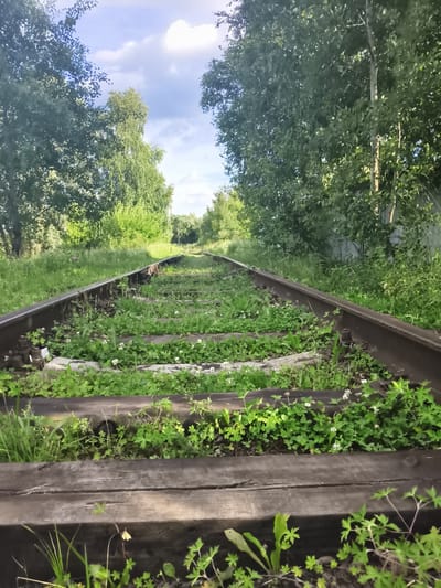 An abandoned railway track runs through a grassy area on a sunny day. The tracks are lined with trees on both sides. The sky is blue with some white clouds. The railway ties are covered with grass and small white flowers. There are no people or animals visible in the image. The scene appears to be in a rural or overgrown area, possibly on the outskirts of the city of Kievsky, Russia.