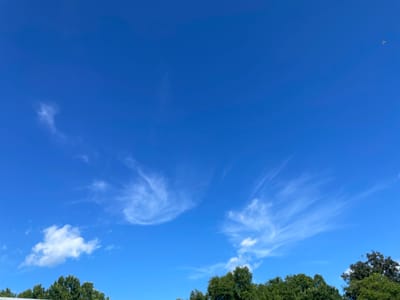 A clear blue sky dominates the upper two-thirds of the frame, with wispy cirrus clouds scattered across it. These clouds appear as thin, feathery streaks, some forming delicate, swirling patterns. In the lower portion of the image, the dark green foliage of trees creates a dense line across the horizon. The trees are lush and full, suggesting a temperate climate and likely daytime. A single, small object, possibly a bird or an aircraft, is visible in the far upper right corner of the sky. The overall scene evokes a sense of tranquility and openness, typical of a pleasant, sunny day. There is no visible text in the image.