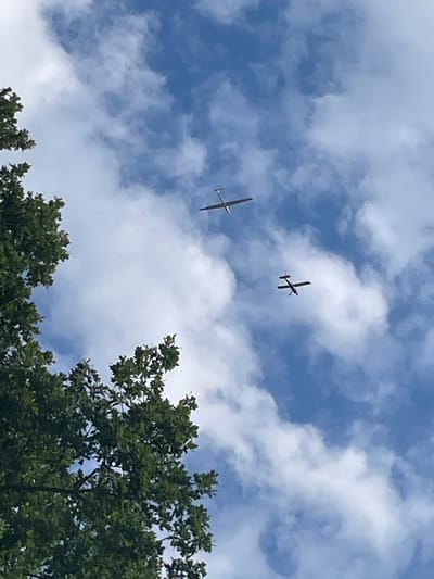 The media file shows a view looking up at a bright blue sky filled with white, puffy clouds. Two gliders, which are unpowered aircraft that rely on air currents for flight, are visible against the sky. The glider in the foreground is lighter in color and appears to be to the left, with its wings outstretched. The second glider is darker and positioned higher and to the right of the first, also with its wings extended. The bottom portion of the image is framed by the dense green foliage of trees, suggesting an outdoor setting on a clear day. The time of day is likely daytime, given the bright sky and clouds. There are no people visible, nor any text. The overall scene evokes a sense of peaceful flight and natural beauty.