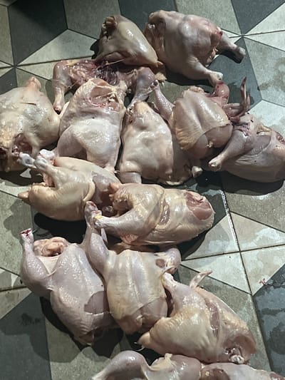 The image shows a high-angle view of approximately a dozen raw, whole chickens placed on a tiled floor. The floor tiles are light-colored with a dark gray diamond pattern. The chickens appear recently slaughtered, as evidenced by their pale, intact skin and some visible blood. The location is Paweden, Indonesia. No people are visible. The scene depicts a process likely related to food preparation or sale.